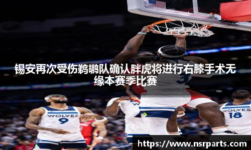 完美真人