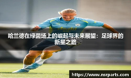 完美真人网址